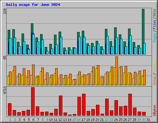 Daily usage for June 2024