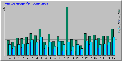 Hourly usage for June 2024