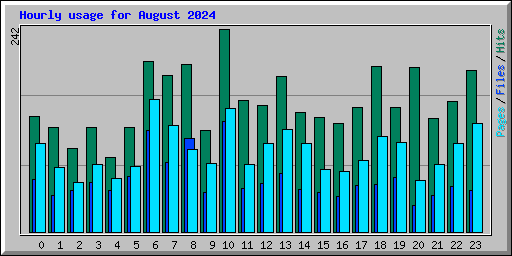 Hourly usage for August 2024