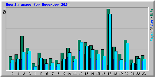 Hourly usage for November 2024