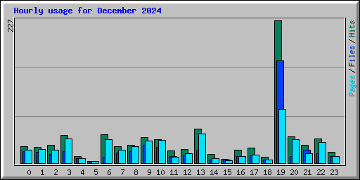 Hourly usage for December 2024